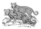 Dibujo para colorear leopardo