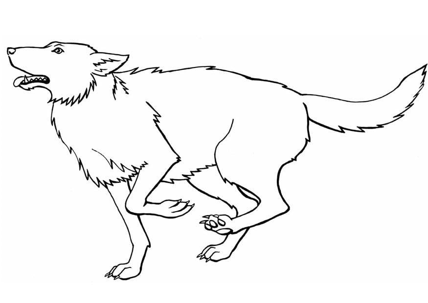 Dibujo para colorear Lobo
