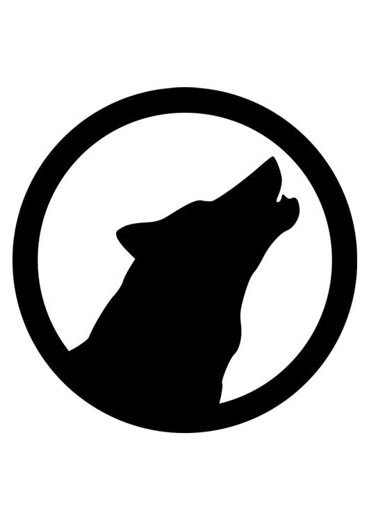 lobo