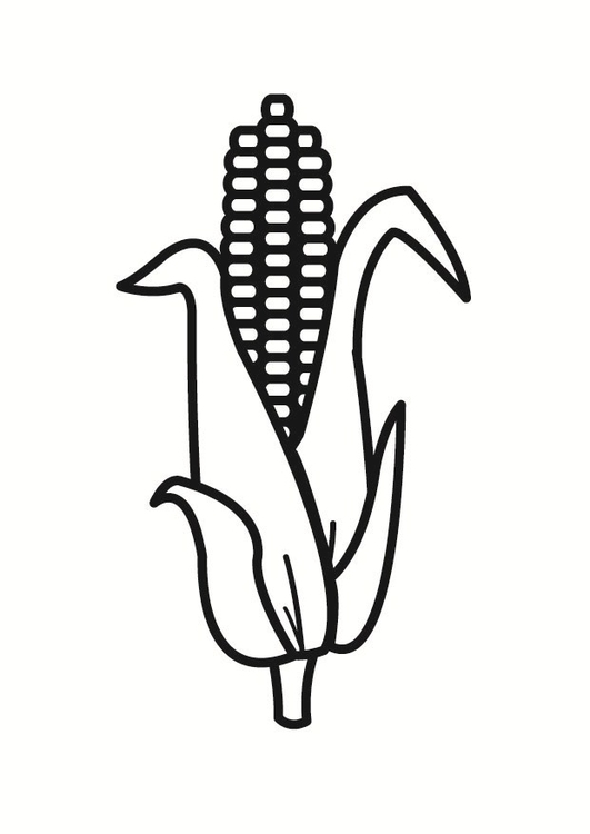 Dibujo para colorear maíz - Dibujos Para Imprimir Gratis - Img 23251