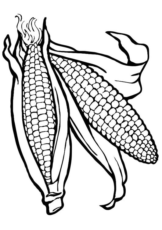 Dibujo para colorear maíz - Dibujos Para Imprimir Gratis - Img 23256