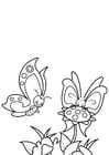 Dibujos para colorear mariposa con amigo