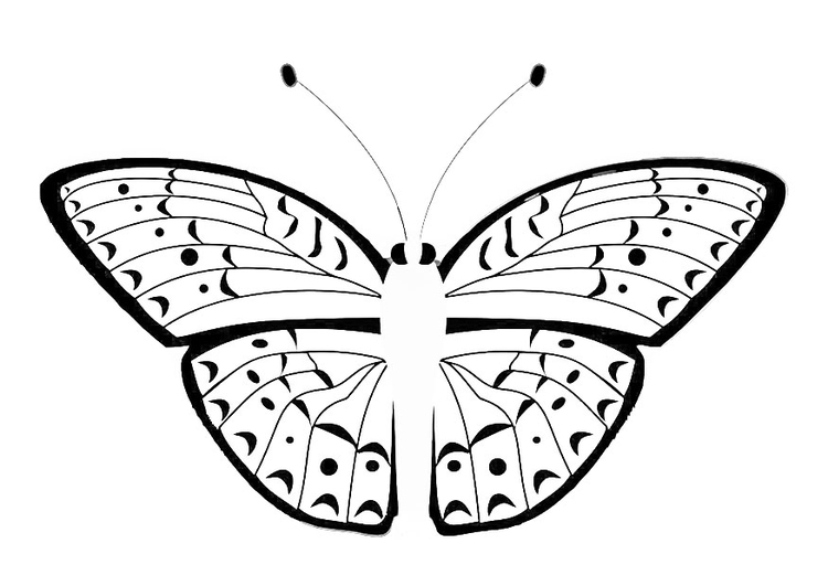 Dibujo para colorear mariposa