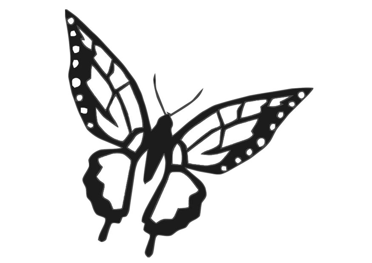 Dibujo para colorear mariposa