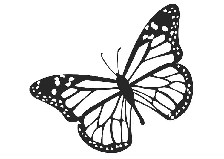 Dibujo para colorear mariposa