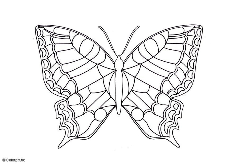 Dibujo para colorear Mariposa