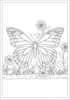 Dibujo para colorear mariposa en el jardÃ­n