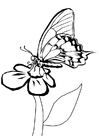 Dibujos para colorear Mariposa en flor