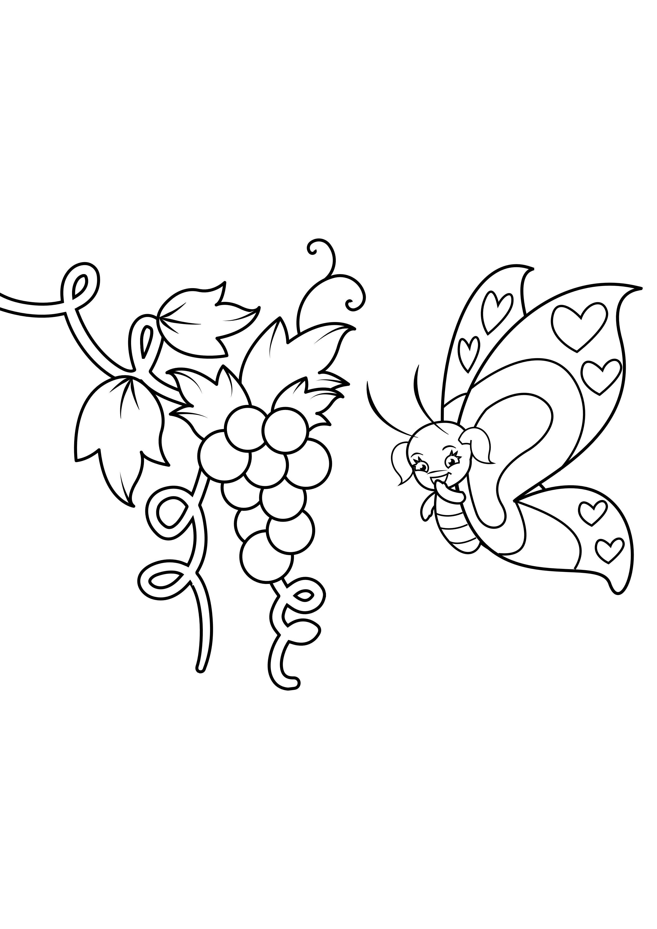 Dibujo para colorear mariposa en uvas
