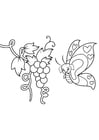 Dibujos para colorear mariposa en uvas
