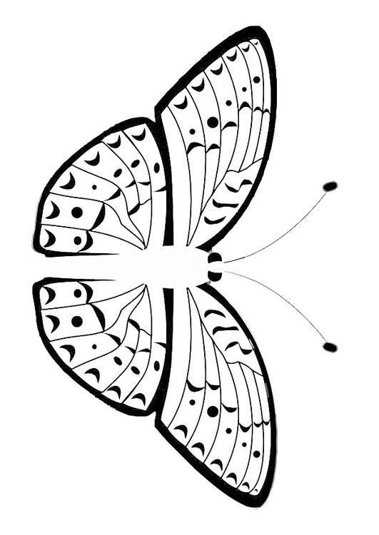 mariposa