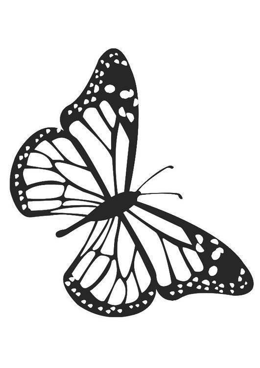 mariposa