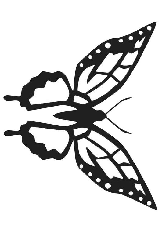 mariposa