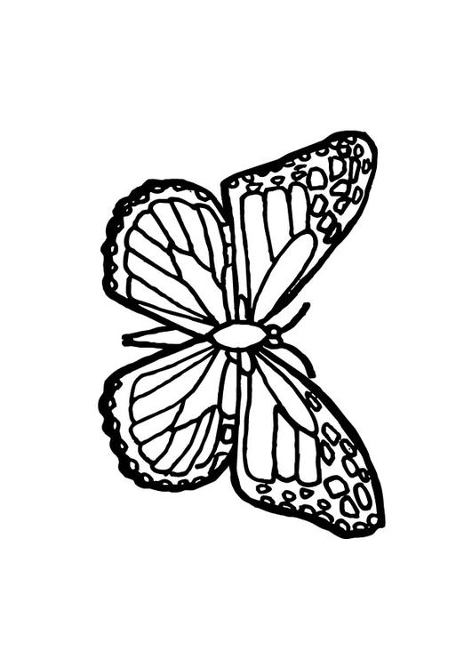 Mariposa