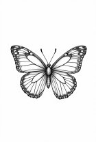 mariposa