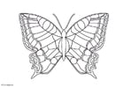 Dibujos para colorear Mariposa
