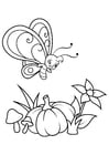 Dibujos para colorear mariposa sobre flor y calabaza