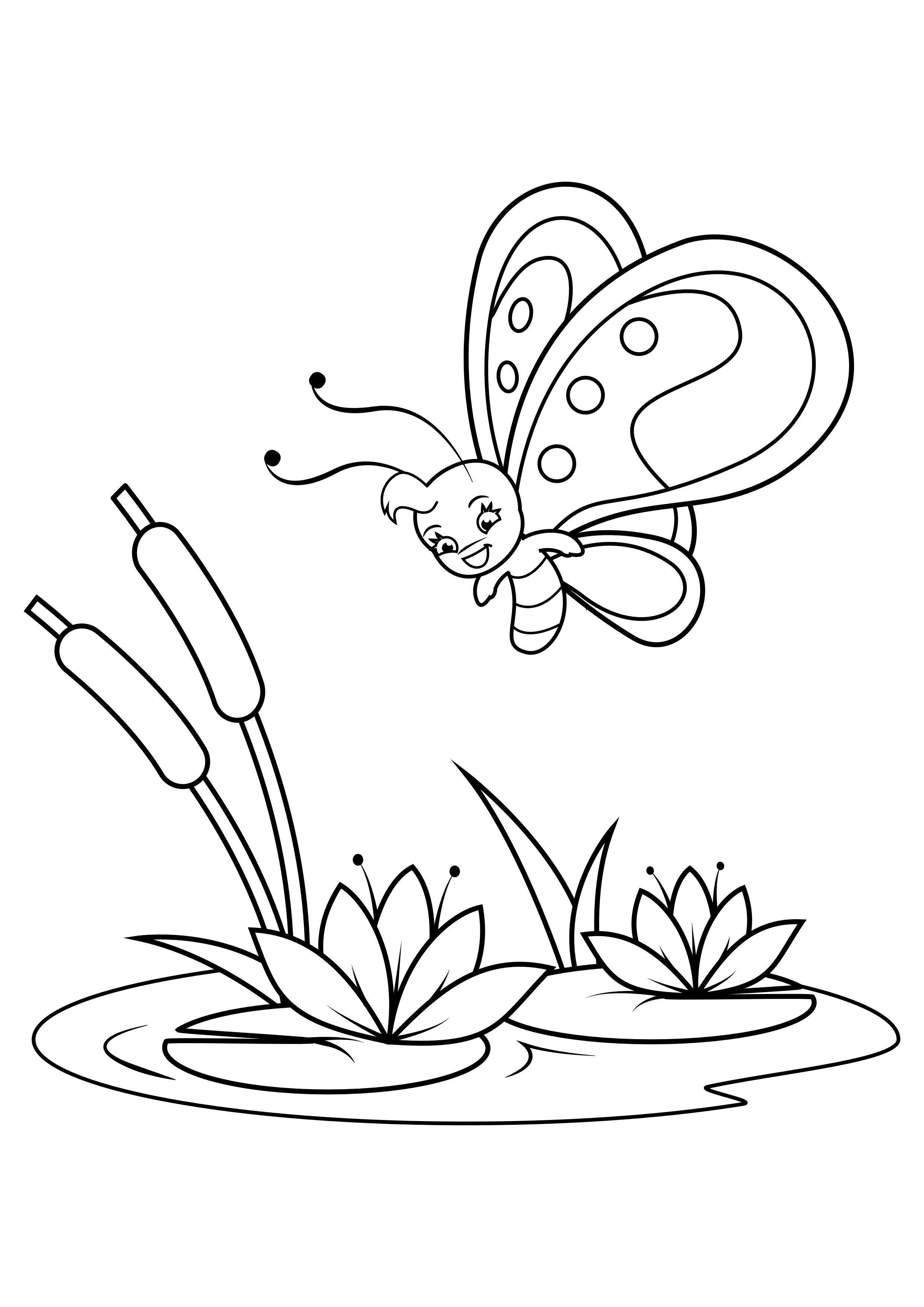 Dibujo para colorear mariposa sobre lirios de agua