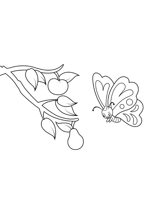 Dibujo para colorear mariposa ve pera