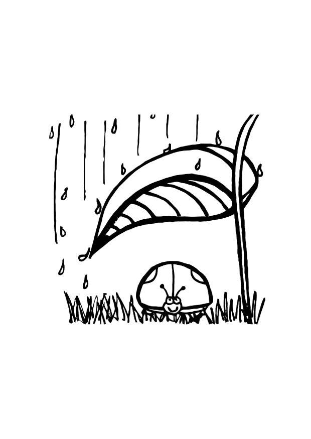 Dibujo para colorear Mariquita protegiÃ©ndose de la lluvia