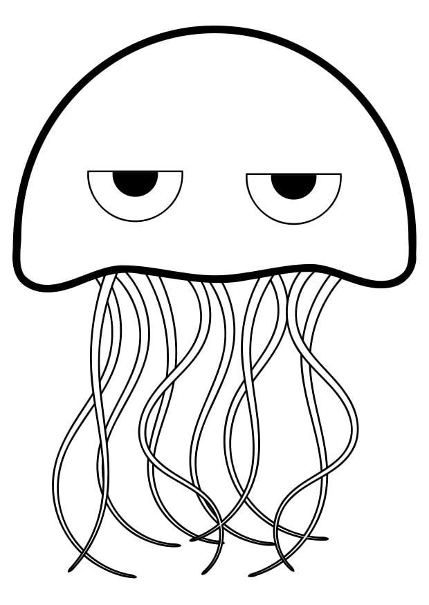 Dibujo para colorear medusa