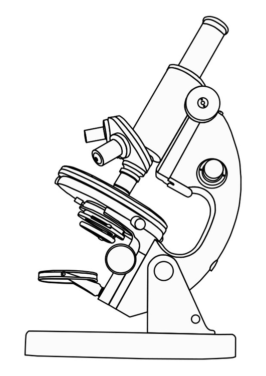Dibujo para colorear microscopio