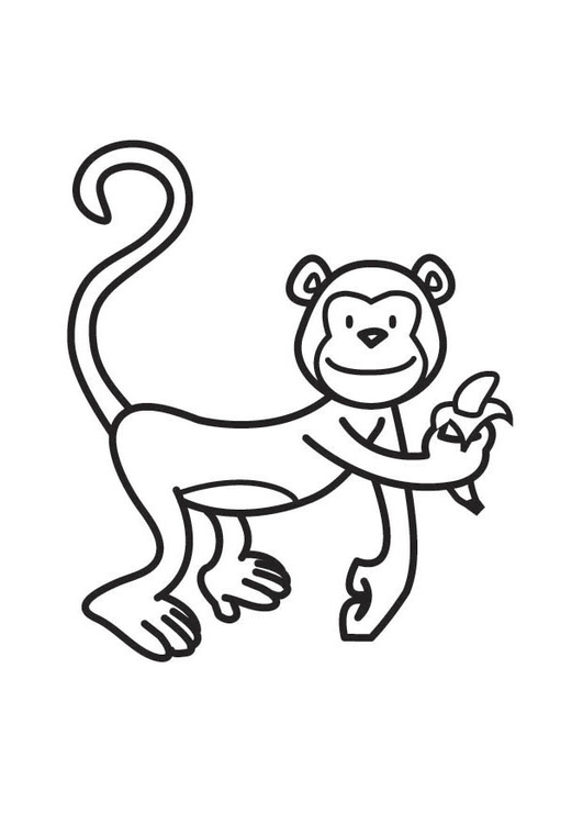 Dibujo para colorear mono