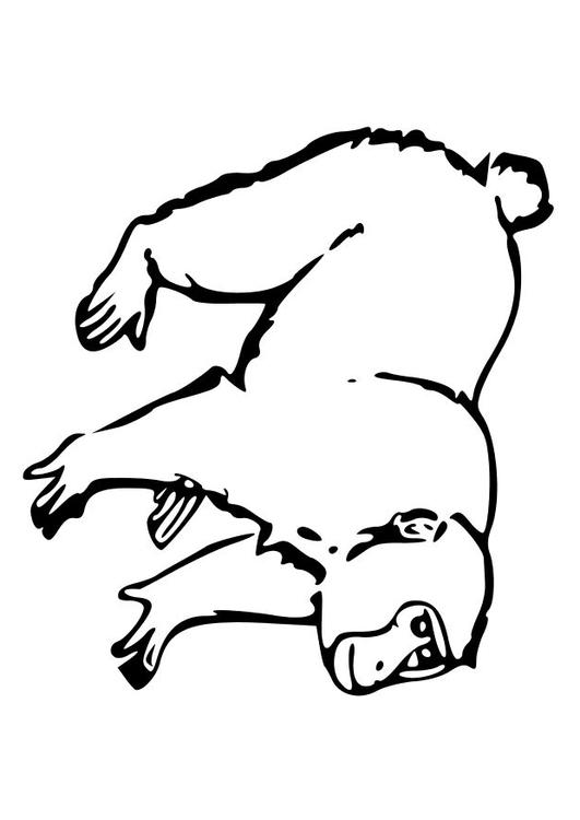 Mono