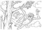 Dibujos para colorear Mono