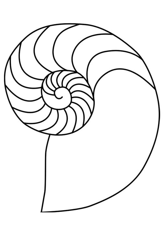 nautilos