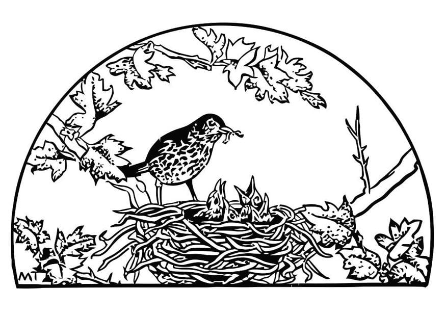Dibujo para colorear nido de pÃ¡jaro