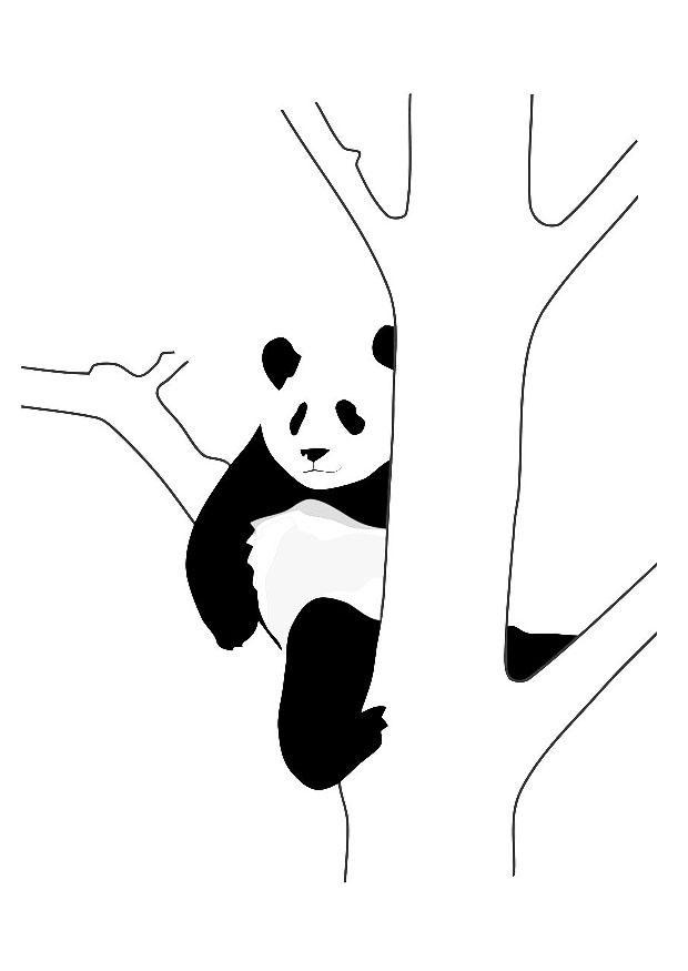 Dibujo para colorear oso panda en árbol - Dibujos Para Imprimir Gratis -  Img 19628