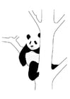 Dibujo para colorear oso panda en Ã¡rbol
