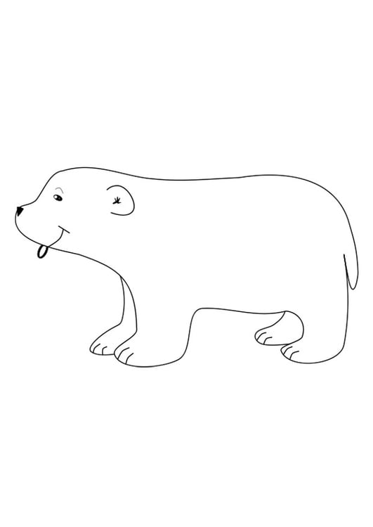 Dibujo para colorear oso polar