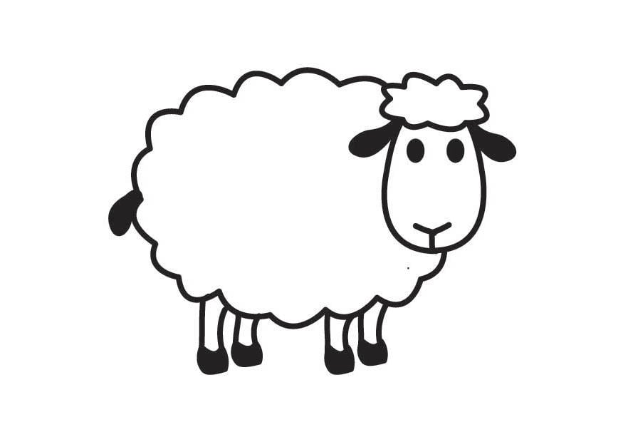 Dibujo para colorear oveja