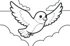 pajarito