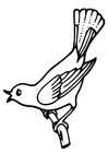 Dibujos para colorear pájaro cantando