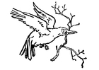 Dibujos para colorear pájaro con rama