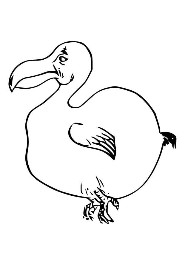 Dibujo para colorear pÃ¡jaro - dodo