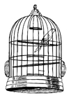 Dibujos para colorear pájaro en jaula