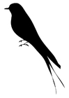 Dibujos para colorear Pájaro
