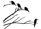 Dibujos para colorear pájaros sobre una rama