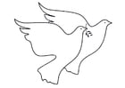 palomas de la paz