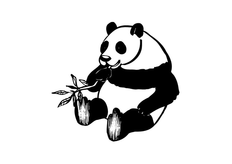 Dibujo para colorear Panda