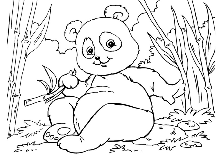 Dibujo para colorear panda