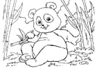 Dibujos para colorear panda