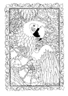 dibujo-para-colorear papagayo