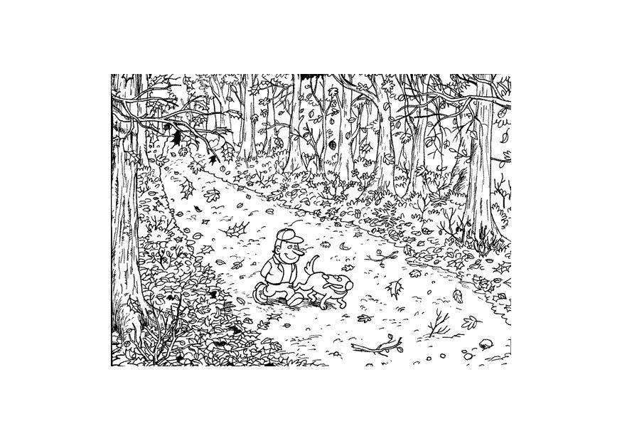 Dibujo para colorear Paseo en el bosque en otoÃ±o