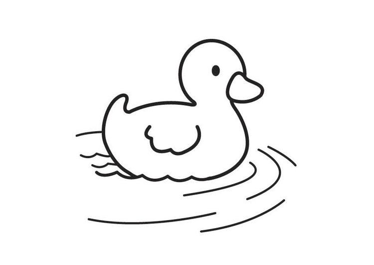 Dibujo para colorear pato