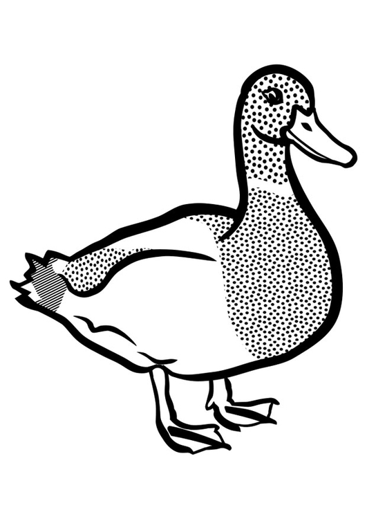 Dibujo para colorear pato